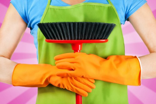 Carpet cleaning for pet stain odour removal in Crossness