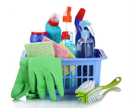 Inspection of a room for hidden pet stain odours